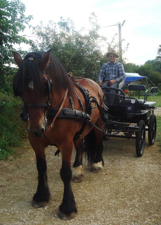 Chambre D'Hotes La Ferme Du Vallon Moirey Zewnętrze zdjęcie