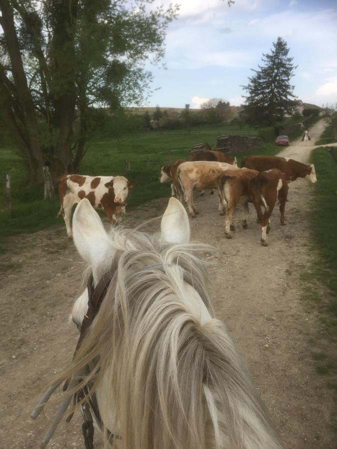 Chambre D'Hotes La Ferme Du Vallon Moirey Zewnętrze zdjęcie